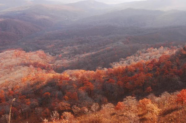 Chandalaz Crest adlı düşmek