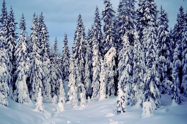 Kvitfjell ski resort, Norway Stock Photo