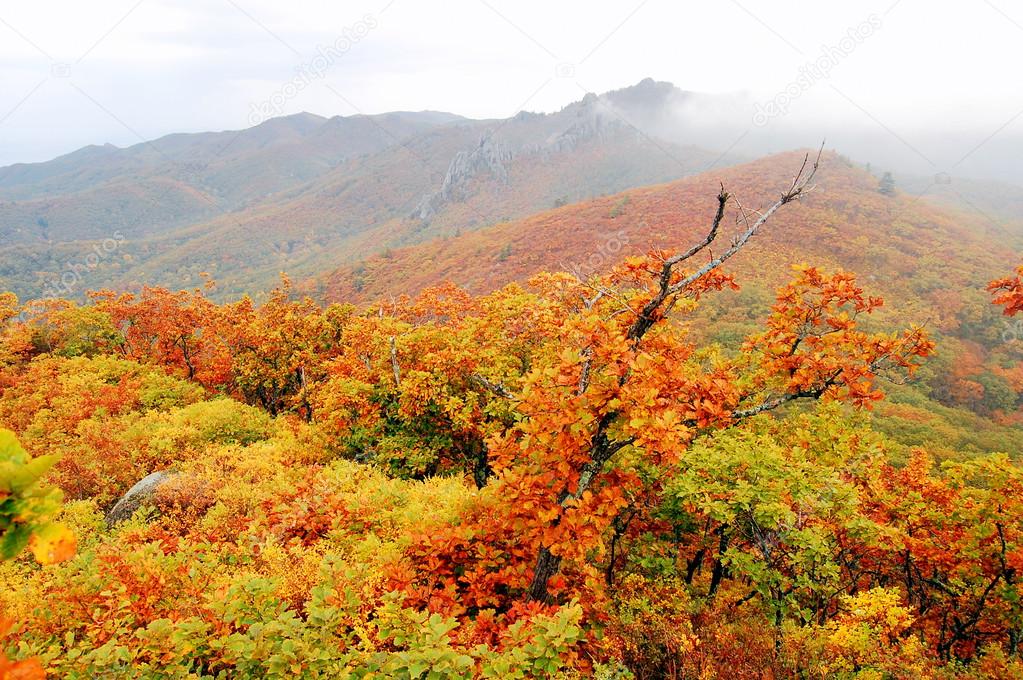 Partizansk