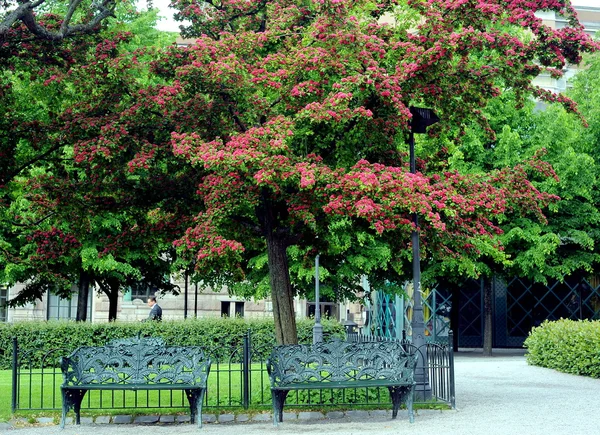 Stockholm merkezi kare