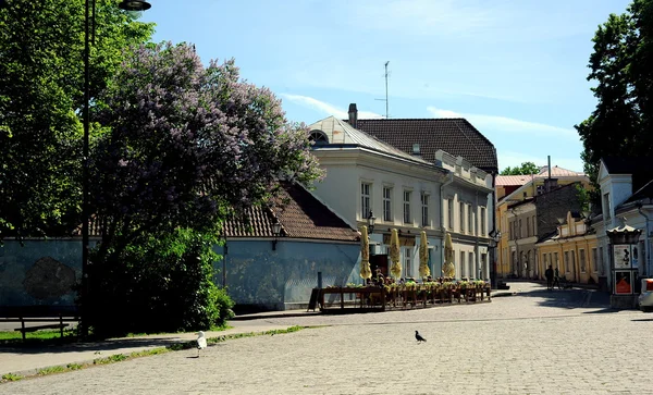 Oude straten van Tallinn — Stockfoto