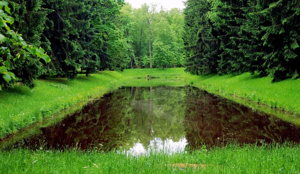 Old pond in Oranienbaum