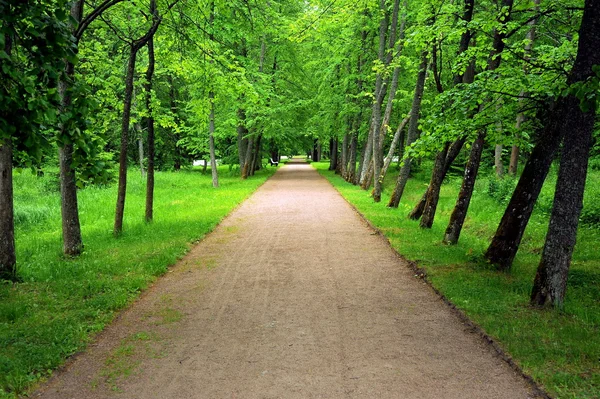 Park bei Schloss oranienbaum, saint-petersburg — Stockfoto