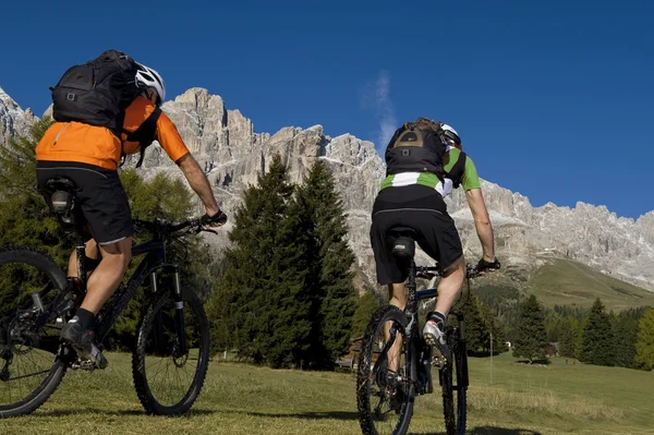Ciclismo de montanha — Fotografia de Stock