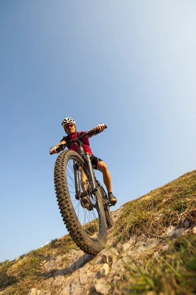 Mira el neumático - rueda de bicicleta de montaña — Foto de Stock