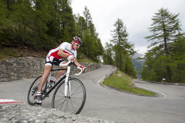 Road cycling downhill — Stock Photo, Image