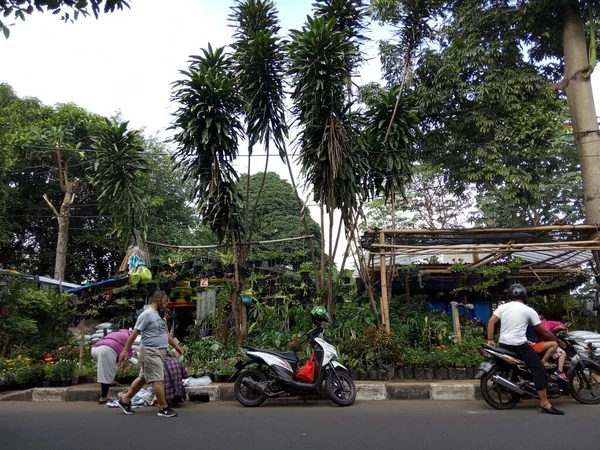 Vendedor Plantas Flores Cijantung West Jakarta Indonésia Janeiro 2021 — Fotografia de Stock