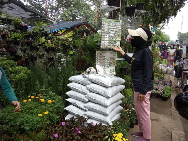 Vendedor Plantas Flores Cijantung West Jakarta Indonésia Janeiro 2021 — Fotografia de Stock