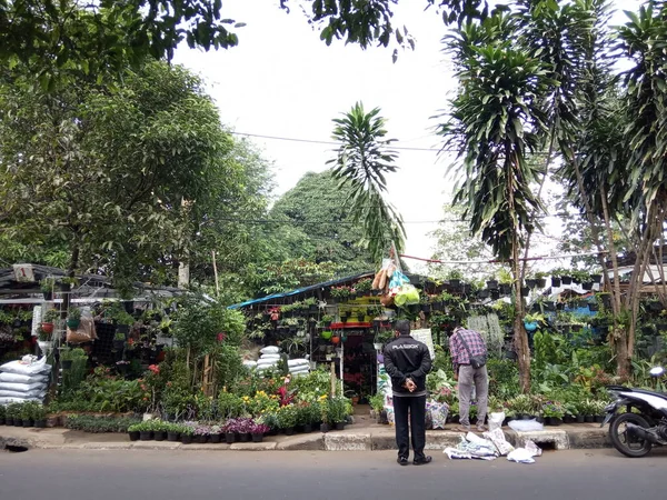 Sprzedawca Roślin Kwiatów Cijantung West Jakarta Indonezja Stycznia 2021 — Zdjęcie stockowe