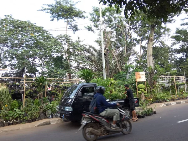 Vendedor Plantas Flores Cijantung West Jakarta Indonésia Janeiro 2021 — Fotografia de Stock