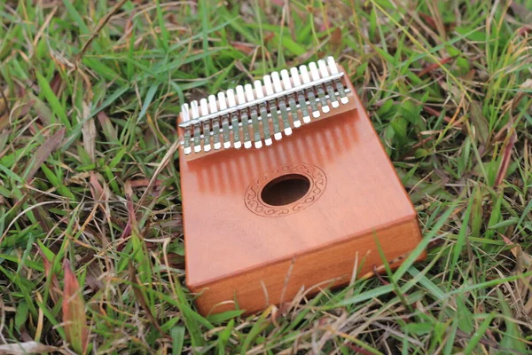 Kalimba, acoustic music instrument from africa and its soft cover at Grass