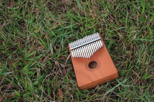 Kalimba Akustyczny Instrument Muzyczny Afryki Jego Miękka Okładka Grass — Zdjęcie stockowe