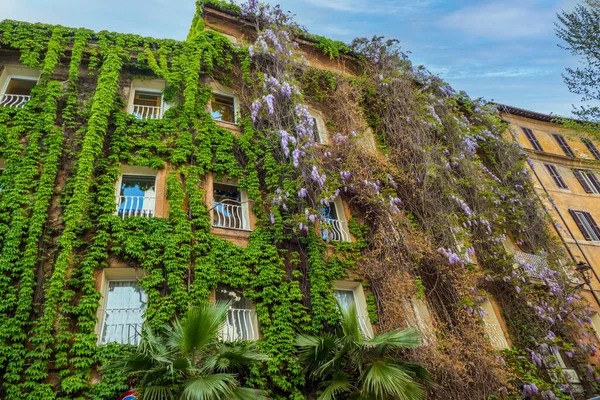罗马漂亮的房子 有紫藤和绿色的攀爬植物 — 图库照片