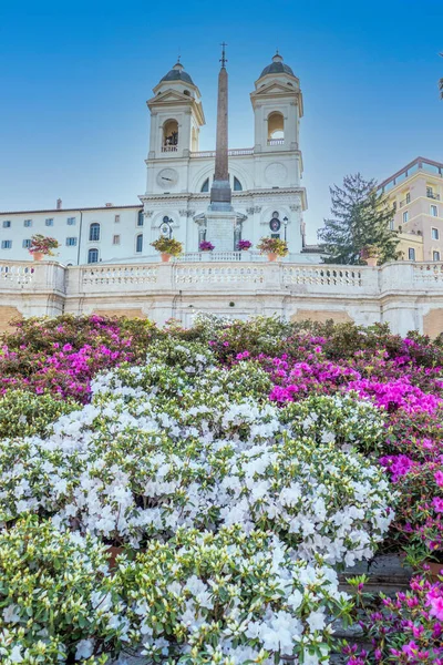 Beroemde Spaanse Trappen Rome Met Prachtige Bloemen Geen Mensen — Stockfoto
