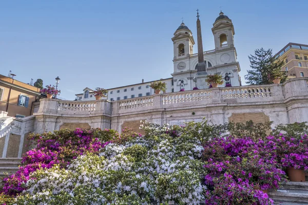 Famosos Passos Espanhóis Roma Com Belas Flores Sem Pessoas — Fotografia de Stock