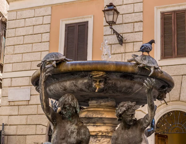 ローマの亀の泉 — ストック写真