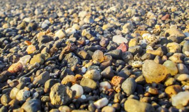 Sahildeki Küçük Taş