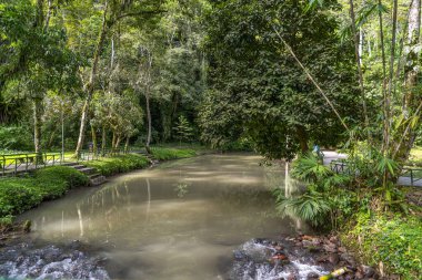 Peru yağmur ormanlarında yemyeşil bitki örtüsü ve yürüyüş yolu ile çevrili olan orman göleti, sakin su, tropikal manzara, doğal dokular ve eko turizmi ve doğa temaları için ideal barışçıl bir ortam gösteriyor..