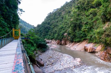 Peru Tingo Mara 'da Amazon yağmur ormanlarıyla çevrili kayalık bir nehrin üzerine asma bir köprü uzanır. Bereketli bitki örtüsü, kanyon duvarları ve akan su manzaralı bir tropikal ortam yaratır..