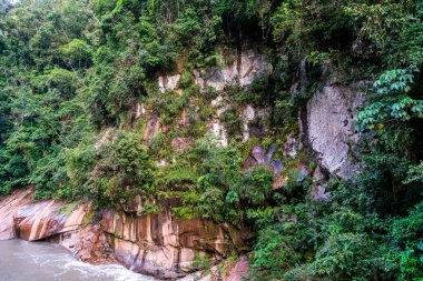 Amazon yağmur ormanları ile kaplı kayalık bir kanyon duvarı Peru Tingo Mara 'da akan bir nehrin yanında duruyor. Yeşillik, taş dokuları ve tropikal bitkiler doğal ve manzaralı bir manzara oluştururlar..