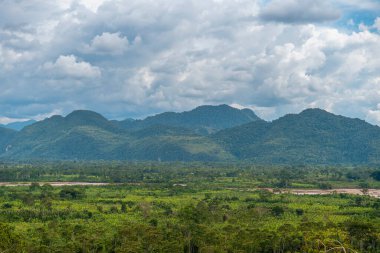 Bereketli yeşil tepeler ve yoğun yağmur ormanları dramatik bulutlar altında Peru ormanları boyunca uzanıyor, doğa, vahşi doğa, seyahat, iklim ve çevre temaları için ideal canlı tropikal manzaralar yaratıyor..