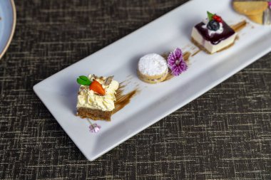 Çikolata ve meyvelerle süslenmiş mini kek, cheesecake ve kurabiyeli gurme tatlı tabağı. Restoran menüleri için zarif bir sunum..