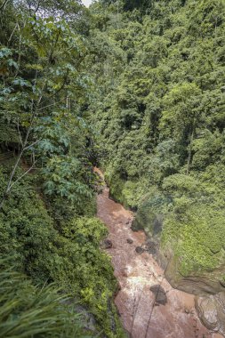 Chanchamayo 'daki yeşil uçurumlar arasında akan çamurlu bir nehir ile derin orman kanyonu, tropikal manzarayı, erozyonu, yoğun bitki örtüsünü, vahşi nehir manzarasını, biyolojik çeşitliliği, nemli iklimi ve Peru' da dokunulmamış doğayı gösteriyor.
