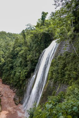 Chanchamayo ormanındaki Velo de Novia Şelalesi sarp yeşil bir uçurumdan çamura yuvarlanarak tropikal yağmur ormanı manzarasını, akan suları, yoğun bitki örtüsünü, biyolojik çeşitliliği, erozyonu ve Peru 'daki el değmemiş doğayı gösteriyor.