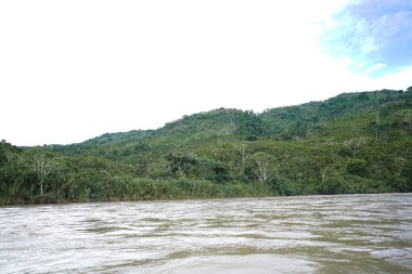 Chanchamayo Nehri tropikal ormanlardan akıyor orman nehir kıyıları ve kırsal yapılar, doğayı ve günlük yaşamı gösteriyor.