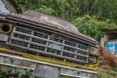 Peru 'nun orman bölgesinde tropik bitki örtüsüyle çevrili terk edilmiş paslı bir minibüs.