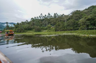 Chanchamayo Nehri sık orman ve yeşil bitki örtüsüyle çevrilidir. Sakin tatlı su tropikal manzarayı yansıtır, seyahat, turizm, ekoloji, sürdürülebilirlik, koruma, doğal çevre kavramları ve barışçıl açık hava manzarası için idealdir.