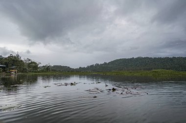 Yeşil tepeler ve yoğun bitki örtüsüyle çevrili huzurlu bir göl. Küçük tekneli sakin su, seyahat, turizm, ekoloji, sürdürülebilirlik, tatlı su ortamı ve açık hava manzarası için ideal kırsal manzarayı yansıtır.