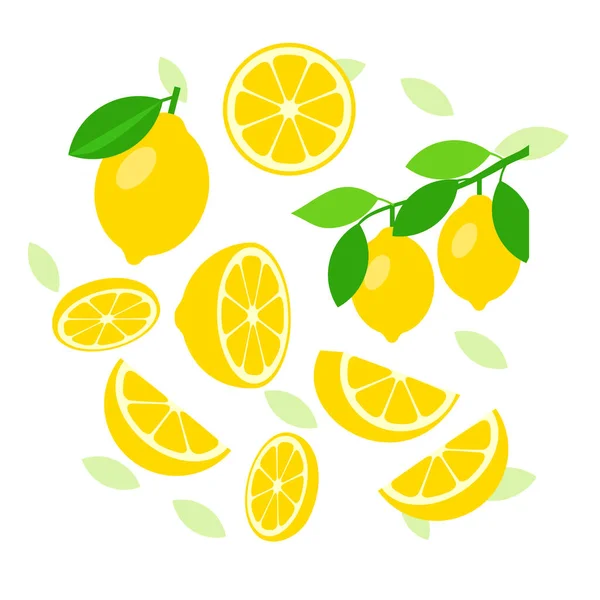 Limon Elemanları Soyut Vektör Tasarımı Arka Planı — Stok Vektör