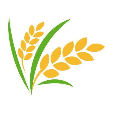 Beyaz arkaplanda yaprak vektör illüstrasyonlu pirinç tarlası