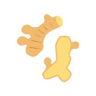 Ginger tam ve yarım vektör çizimi beyaz arkaplanda izole edildi