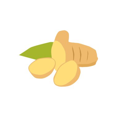 Ginger beyaz arkaplanda izole edilmiş vektör illüstrasyonunu kesti