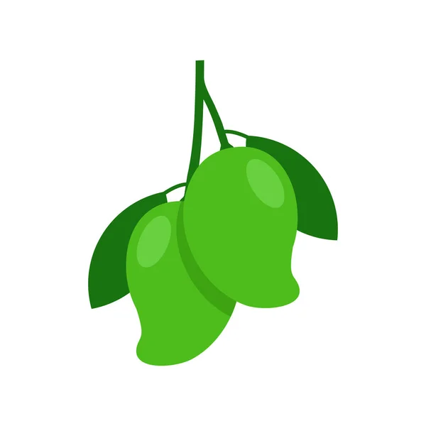 Beyaz Arkaplanda Izole Edilmiş Iki Yeşil Mango Vektör Çizimi — Stok Vektör