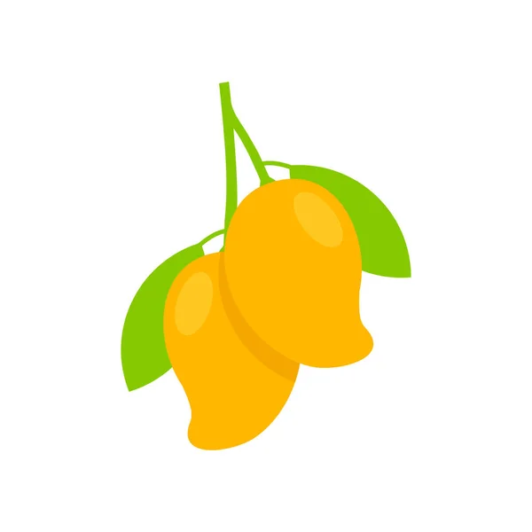 Dua Vektor Ilustrasi Mango Matang Diisolasi Pada Latar Belakang Putih - Stok Vektor