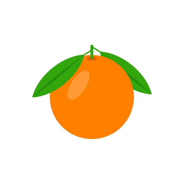 Ilustración Vectorial Naranja Aislada Sobre Fondo Blanco — Vector de stock