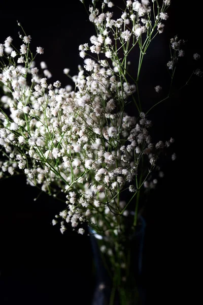 Pequenas Flores Brancas Vaso Vidro Frente Fundo Escuro — Fotografia de Stock