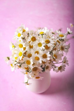 Fresh white daisies in a white vase on pink background. Selective focus. Floral background.
