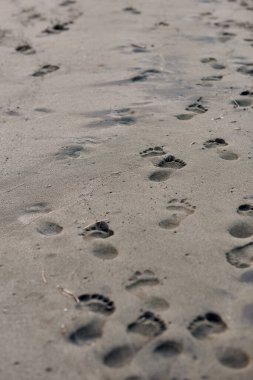 Gri renkli kumdaki ayak izleri mesafeye, dikey görüntüye gider.