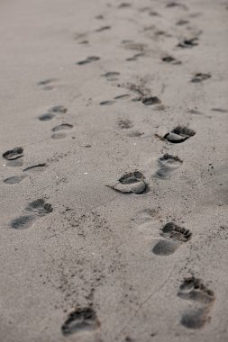 Kumda gri renkli ayak izleri, dikey görüntü