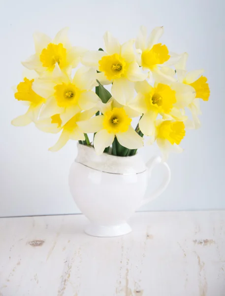 Un narciso fiori — Foto Stock