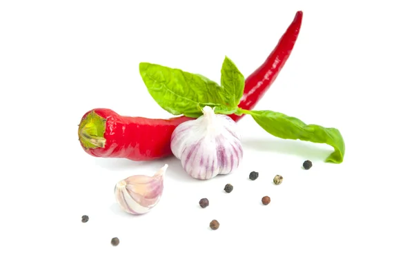 Pepper of chilli — Stock Photo, Image