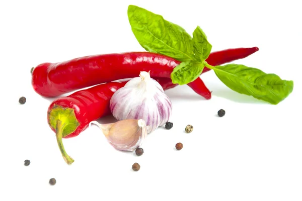 Pepper of chilli — Stock Photo, Image