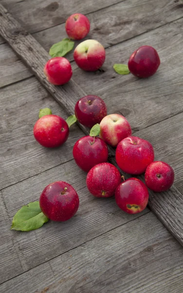 Manzanas — Foto de Stock