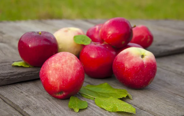 Apples — Stock Photo, Image