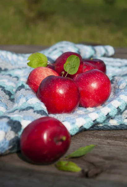 Manzanas — Foto de Stock