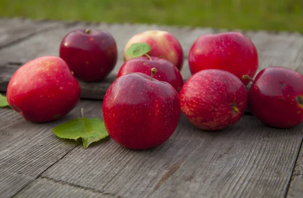 Manzanas — Foto de Stock